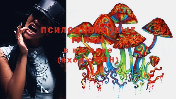 прущая мука Абдулино